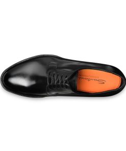 Trendvie.shop344d10ec8b 2