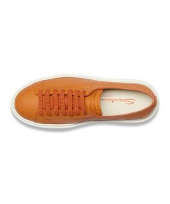 Trendvie.shop3a2ce73f4a 2
