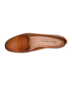 Trendvie.shop561d9c6a19 2