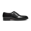 Trendvie.shop92bbcf7be3 1