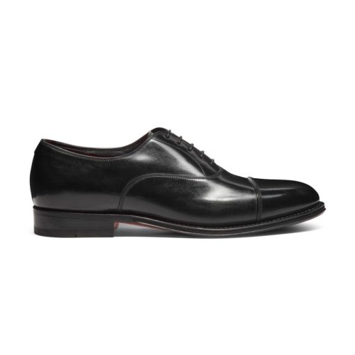 Trendvie.shop92bbcf7be3 1