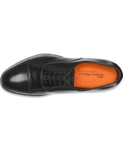 Trendvie.shop92bbcf7be3 2