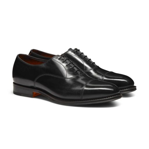 Trendvie.shop92bbcf7be3 3