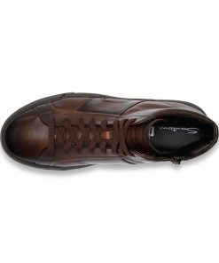 Trendvie.shopa594147794 2