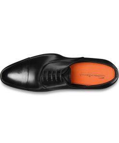 Trendvie.shopb82deaa1f2 2