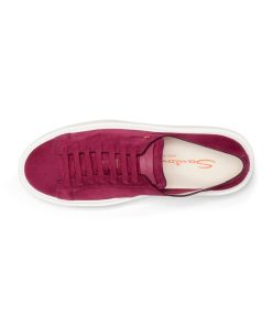 Trendvie.shopc8f6523e32 2