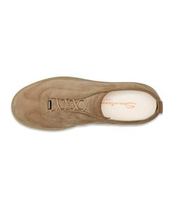 Trendvie.shopd8da8d7572 2