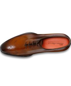 Trendvie.shopdd025b28f8 2
