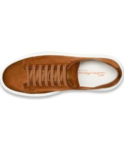 Trendvie.shope2551ec626 2
