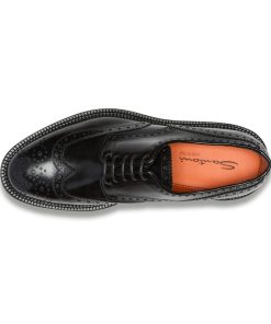 Trendvie.shope43fde4e9d 2