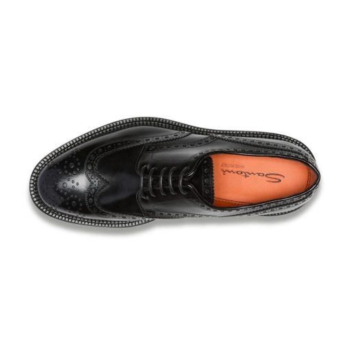 Trendvie.shope43fde4e9d 2