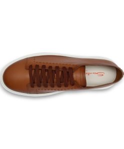 Trendvie.shope80fb03637 2