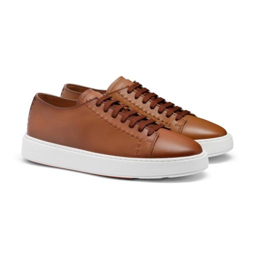 Trendvie.shope80fb03637 3