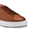 Trendvie.shope80fb03637 5