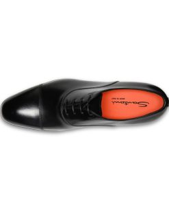 Trendvie.shopf93a62ba3c 2