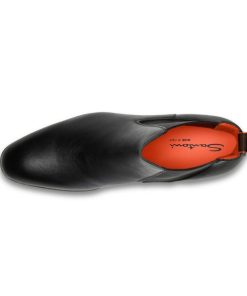 Trendvie.shopfd9a29769e 2